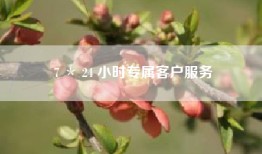 7 ＊ 24 小时专属客户服务