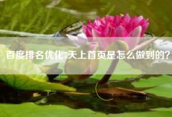 百度排名优化7天上首页是怎么做到的？