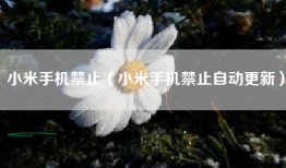 小米手机禁止（小米手机禁止自动更新）