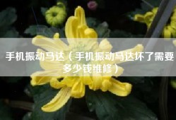手机振动马达（手机振动马达坏了需要多少钱维修）