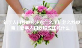 新手入门炒股应注意什么手机怎么炒股票「新手入门炒股应注意什么」