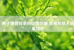 男子埋葬母亲时挖错坟墓 将骨灰放入别家坟中