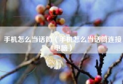 手机怎么当话筒（手机怎么当话筒连接电脑）