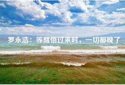 罗永浩：等醒悟过来时，一切都晚了