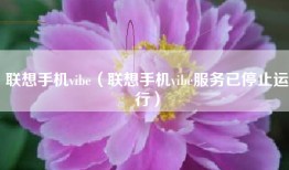 联想手机vibe（联想手机vibe服务已停止运行）