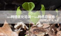 seo网络优化培训—seo网络培训班
