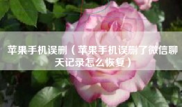 苹果手机误删（苹果手机误删了微信聊天记录怎么恢复）