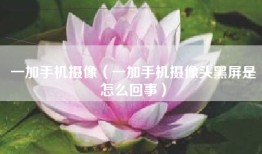 一加手机摄像（一加手机摄像头黑屏是怎么回事）