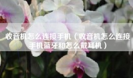 收音机怎么连接手机（收音机怎么连接手机蓝牙和怎么戴耳机）