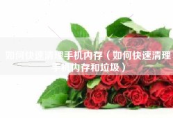 如何快速清理手机内存（如何快速清理手机内存和垃圾）