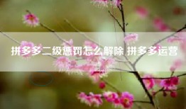 拼多多二级惩罚怎么解除 拼多多运营