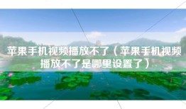 苹果手机视频播放不了（苹果手机视频播放不了是哪里设置了）