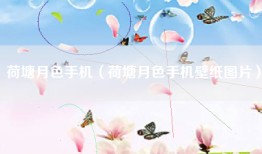 荷塘月色手机（荷塘月色手机壁纸图片）
