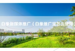 白象新媒体推广（白象推广宝怎么使用）