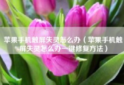 苹果手机触屏失灵怎么办（苹果手机触屏失灵怎么办一键修复方法）