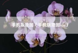 手机版地图（手机版地图app）