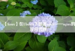 【linux】在Ubuntu下部署nginx——nginx的反向代理