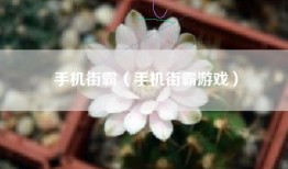 手机街霸（手机街霸游戏）