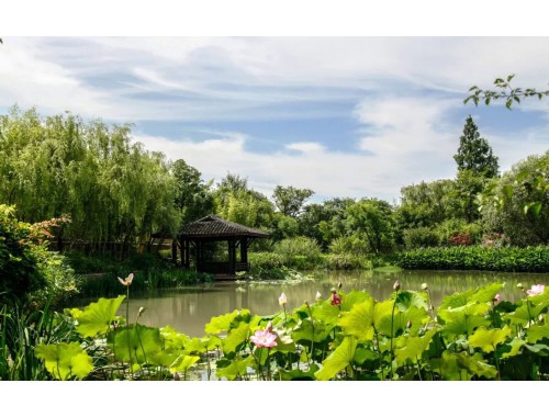 百色学院在河北普通批招生计划专业代码和人数_参考 百色学院在河北普通批招生计划专业代码和人数_参考