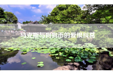 马克斯与狗狗币的爱恨纠葛