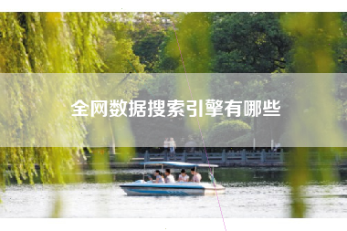 全网数据搜索引擎有哪些