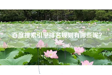 百度搜索引擎排名规则有哪些呢？