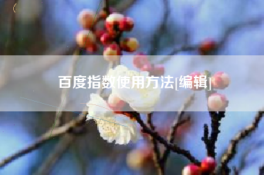 百度指数使用方法[编辑]
