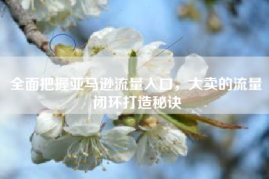全面把握亚马逊流量入口，大卖的流量闭环打造秘诀