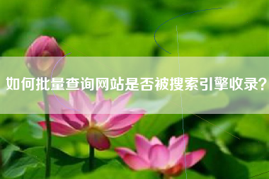 如何批量查询网站是否被搜索引擎收录？