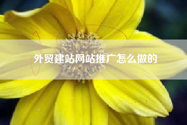 外贸建站网站推广怎么做的
