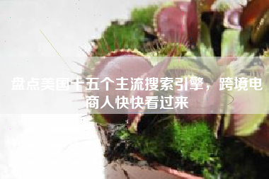 盘点美国十五个主流搜索引擎,跨境电商人快快看过来 盘点美国十五个主流搜索引擎,跨境电商人快快看过来