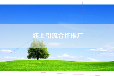 线上引流合作推广