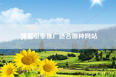 搜索引擎推广适合哪种网站