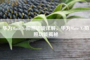 华为Mate Xs拍照功能详解，华为Mate Xs拍照功能揭秘