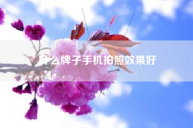 什么牌子手机拍照效果好