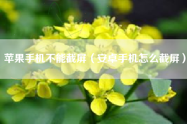 苹果手机不能截屏（安卓手机怎么截屏）