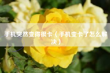 手机突然变得很卡（手机变卡了怎么解决）