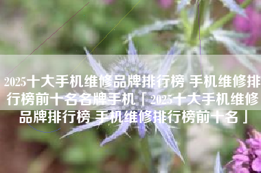 2025十大手机维修品牌排行榜 手机维修排行榜前十名名牌手机「2025十大手机维修品牌排行榜 手机维修排行榜前十名」