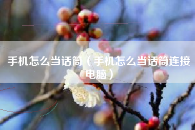 手机怎么当话筒（手机怎么当话筒连接电脑）