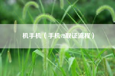 机手机（手机v2取证流程）