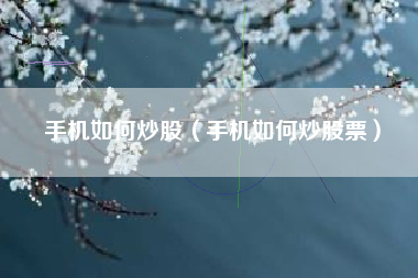 手机如何炒股（手机如何炒股票）