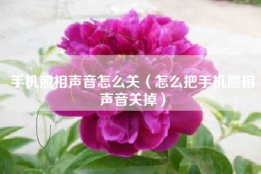 手机照相声音怎么关（怎么把手机照相声音关掉）