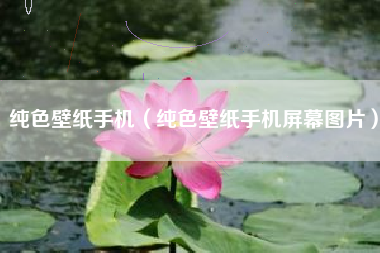 纯色壁纸手机（纯色壁纸手机屏幕图片）