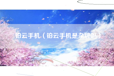 铂云手机（铂云手机是杂牌吗）