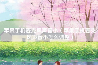 苹果手机麦克风声音小（苹果手机麦克风声音小怎么调整）