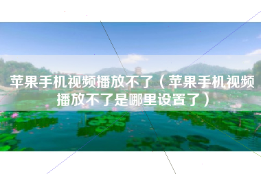 苹果手机视频播放不了（苹果手机视频播放不了是哪里设置了）