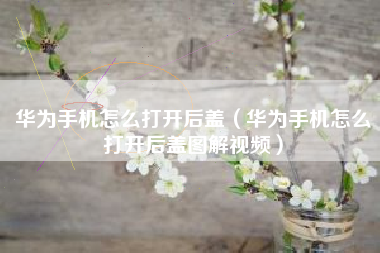 华为手机怎么打开后盖（华为手机怎么打开后盖图解视频）
