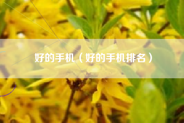 好的手机（好的手机排名）