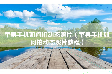 苹果手机如何拍动态照片（苹果手机如何拍动态照片教程）