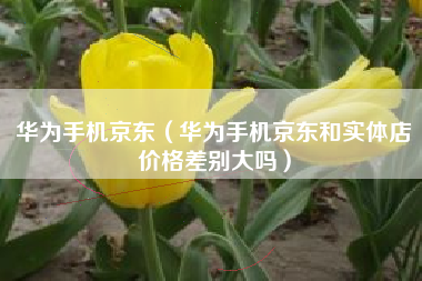 华为手机京东（华为手机京东和实体店价格差别大吗）